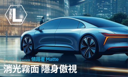 L Matte (霧面)